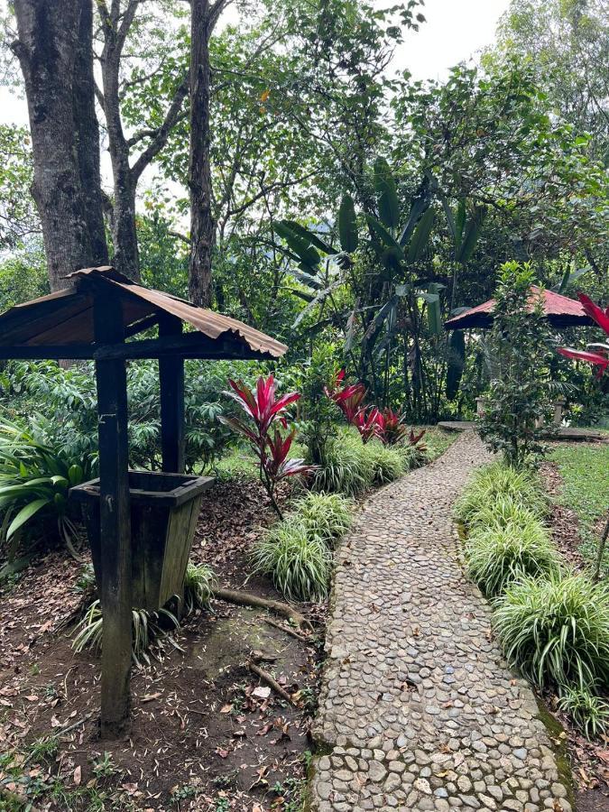 Hotel Spanglish Colombia à Jericoc  Extérieur photo